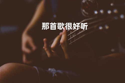 那首歌 很好听