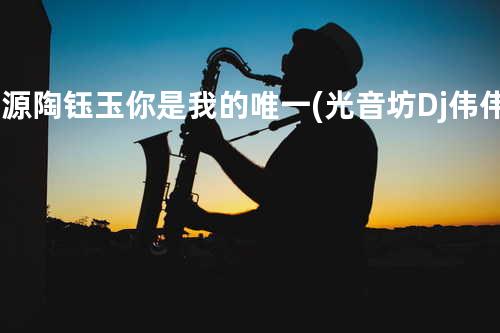 郑源&陶钰玉 - 你是我的唯一(光音坊Dj伟伟 2016 Mix)