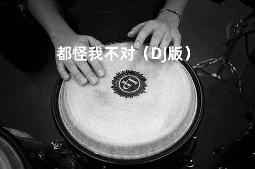 都怪我不对(DJ版)