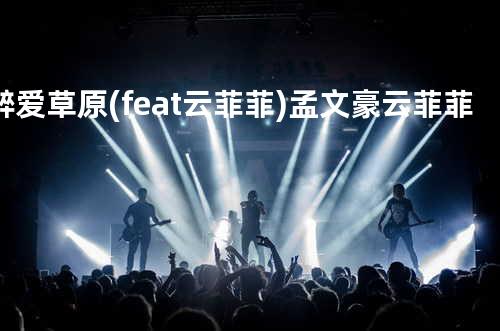 醉爱草原 (feat.云菲菲) - 孟文豪&云菲菲