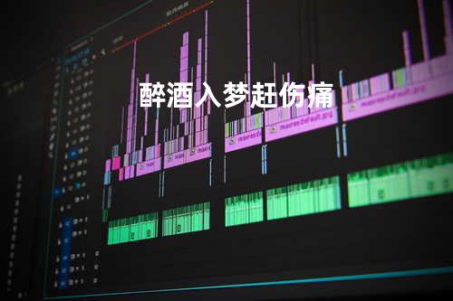 .醉酒入梦赶伤痛