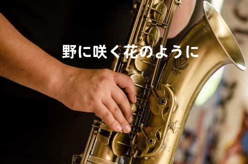 野に咲く花のように