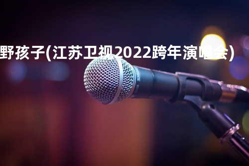 野孩子(江苏卫视2022跨年演唱会)