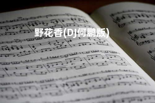 野花香 (DJ何鹏版)