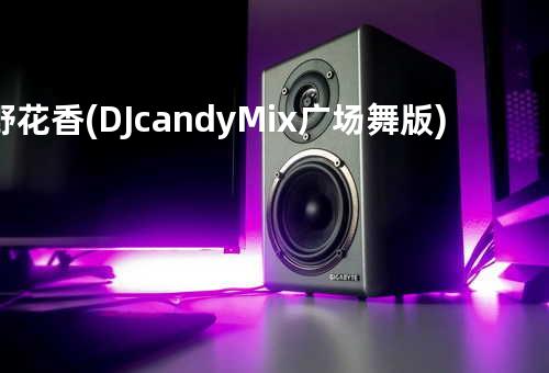 野花香 (DJcandy Mix广场舞版)