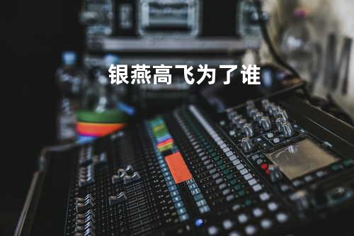 银燕高飞为了谁