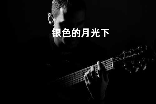 银色的月光下