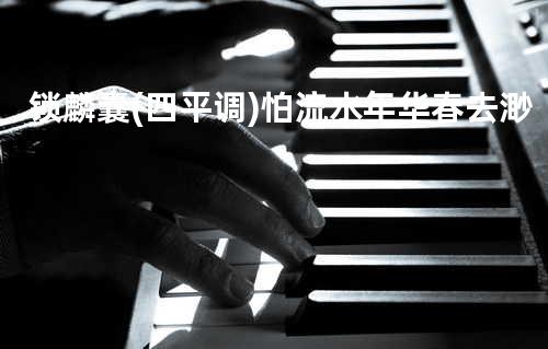 锁麟囊(四平调)怕流水年华春去渺