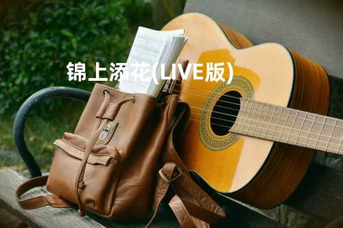锦上添花(LIVE版)