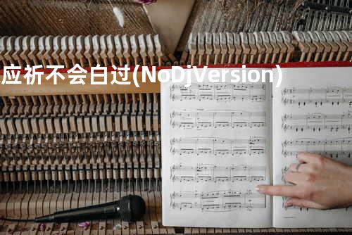 陈应祈 - 不会白过(No Dj Version)