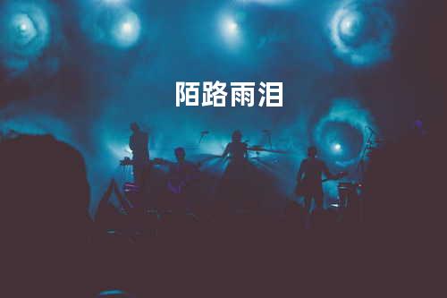 陌路雨泪