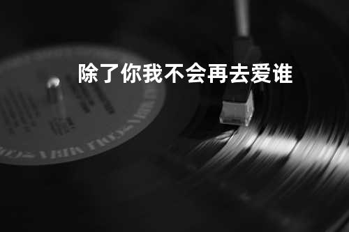 除了你我不会再去爱谁
