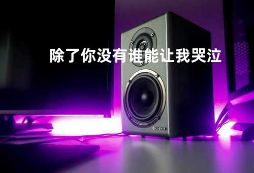 除了你没有谁能让我哭泣