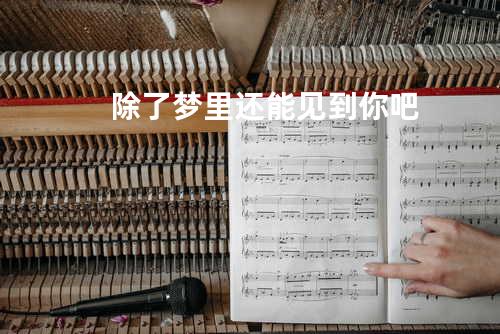 除了梦里还能见到你吧