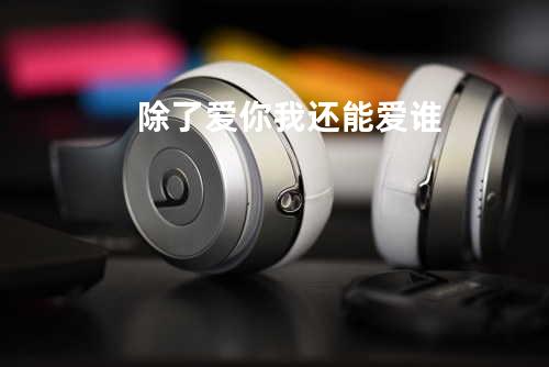 除了爱你我还能爱谁
