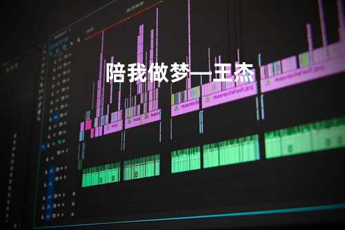 陪我做梦—王杰