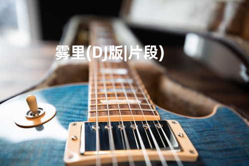 雾里(DJ版|片段)