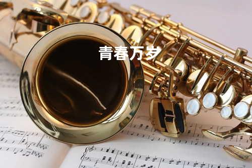 青春万岁
