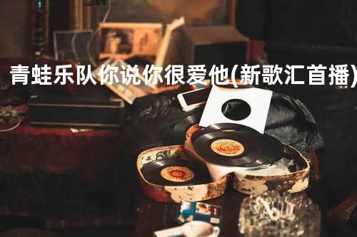 青蛙乐队-你说你很爱他(新歌汇首播)