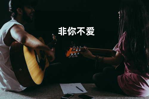 非你不爱