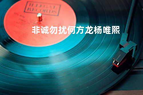 非诚勿扰 - 何方龙&杨唯熙