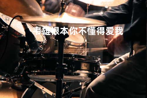 韦雄 - 根本你不懂得爱我