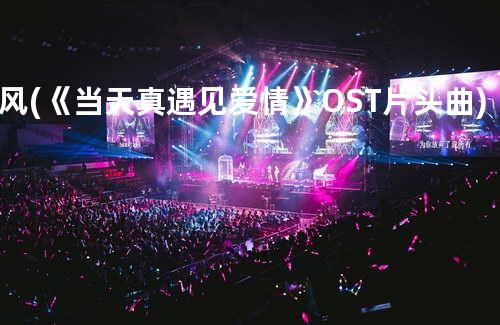 风 (《当天真遇见爱情》O.S.T片头曲)