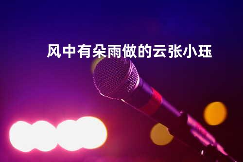 风中有朵雨做的云 - 张小珏