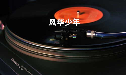 风华少年