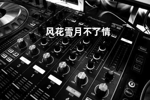 风花雪月不了情