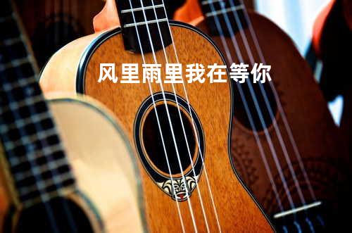 风里雨里我在等你