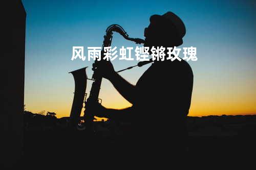 风雨彩虹铿锵玫瑰