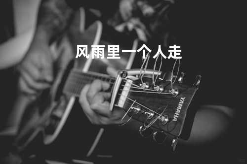 风雨里一个人走