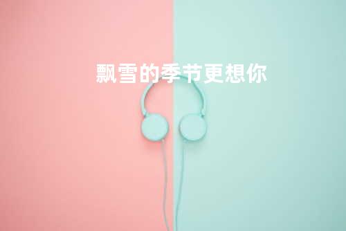 飘雪的季节更想你