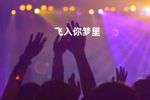 飞入你梦里