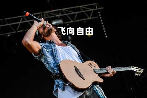 飞向自由