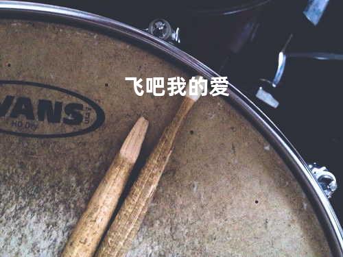 飞吧我的爱