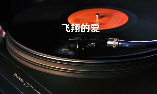 飞翔的爱