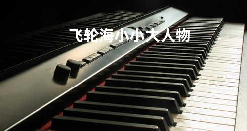 飞轮海 - 小小大人物