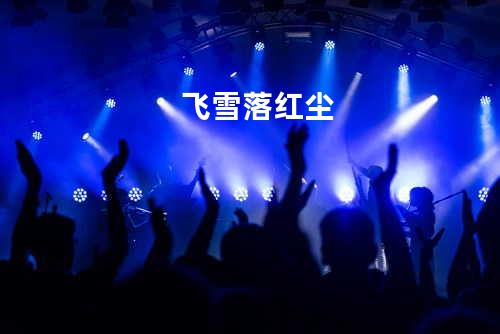 飞雪落红尘