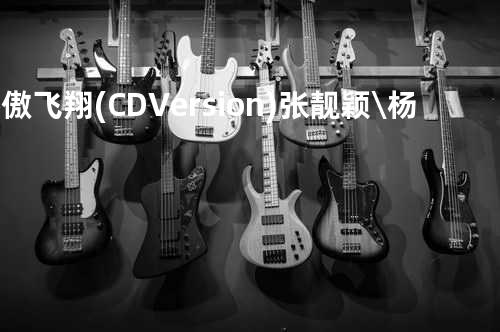 骄傲飞翔(CD Version) - 张靓颖\杨坤