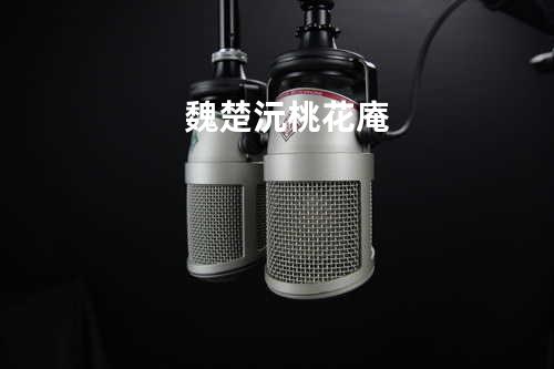 魏楚沅 - 桃花庵