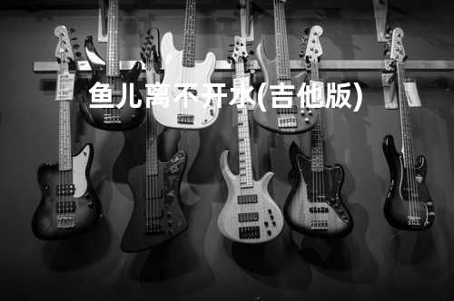 鱼儿离不开水(吉他版)
