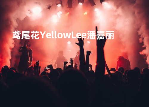 鸢尾花 - Yellow Lee/潘嘉丽