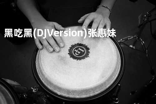 黑吃黑(DJ Version) - 张惠妹