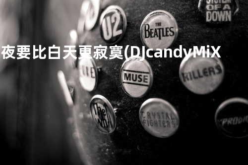 黑夜要比白天更寂寞(DJcandy MiX广场舞)
