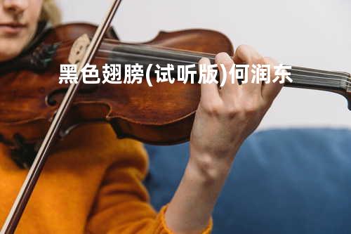 黑色翅膀(试听版)-何润东