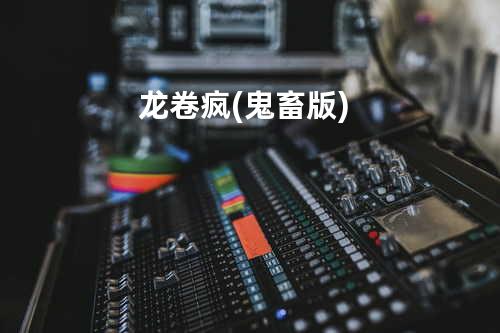 龙卷疯(鬼畜版)