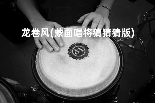 龙卷风(蒙面唱将猜猜猜版)