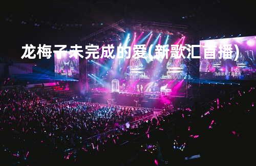 龙梅子-未完成的爱(新歌汇首播)